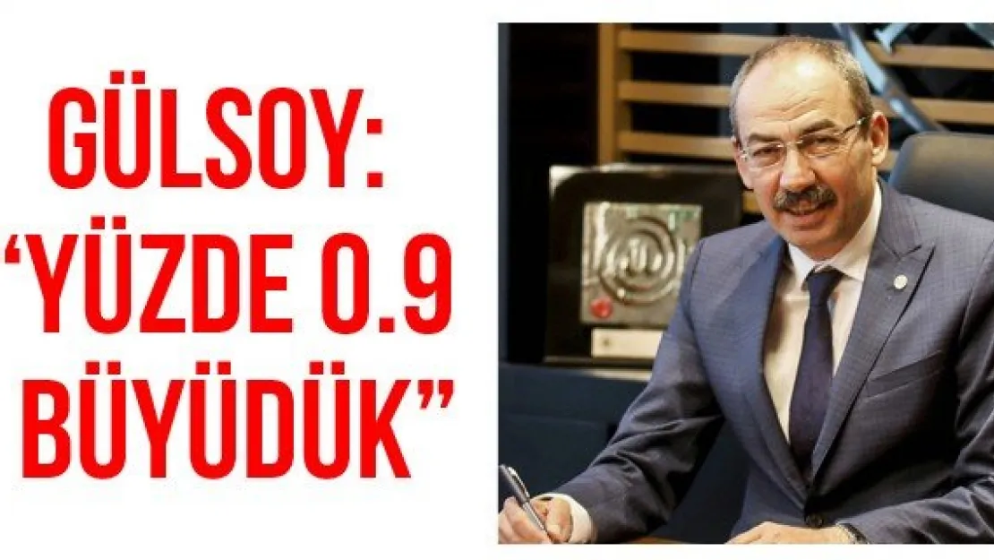 Gülsoy: 'Yüzde 0.9 Büyüdük'