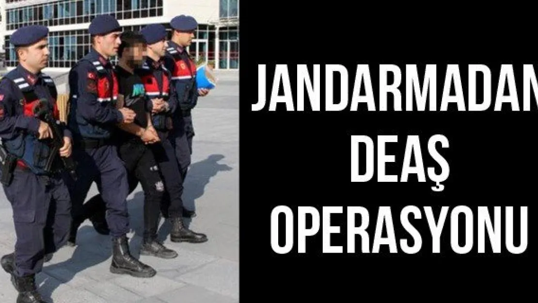 Jandarmadan DEAŞ operasyonu