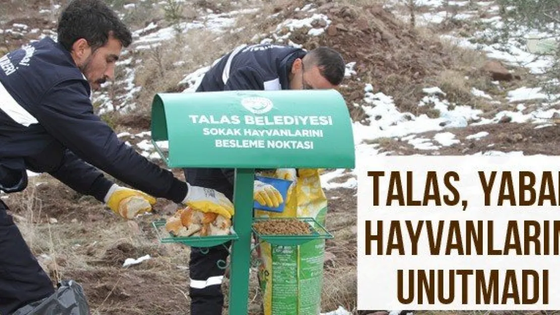 Talas, yaban hayvanlarını unutmadı