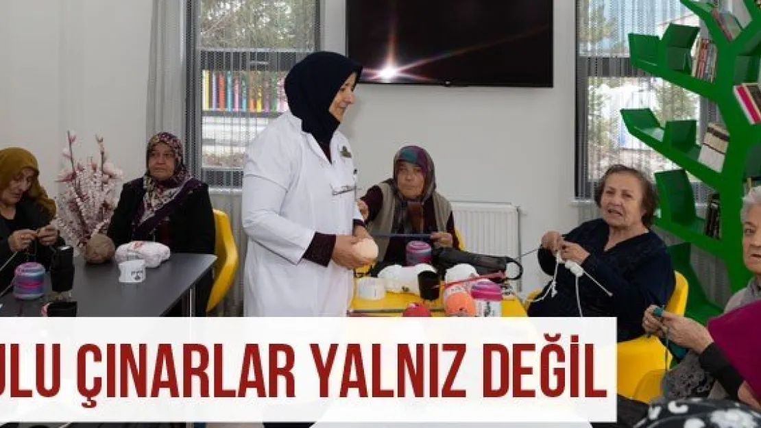 Ulu çınarlar yalnız değil