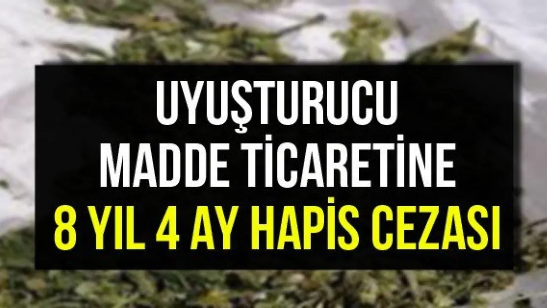 Uyuşturucu madde ticaretine 8 yıl 4 ay hapis cezası