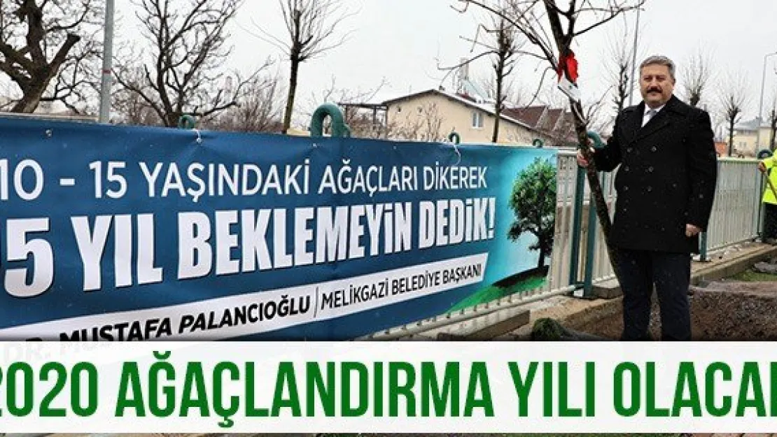 2020 ağaçlandırma yılı olacak