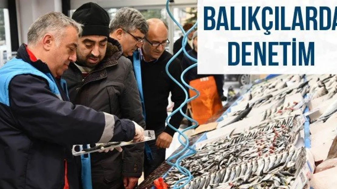 Balıkçılarda Denetim