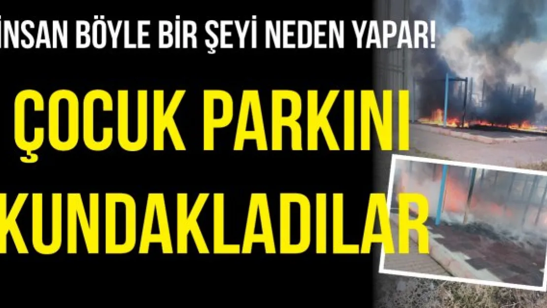 Çocuk parkını kundakladılar