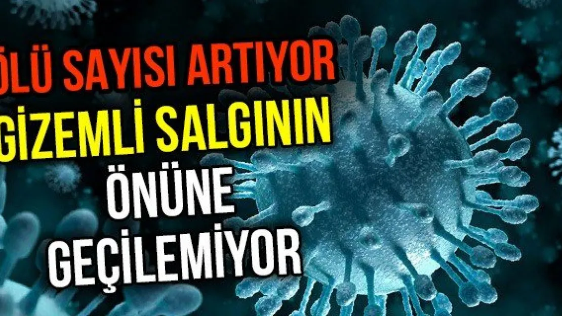 Gizemli Salgının Önüne Geçilemiyor