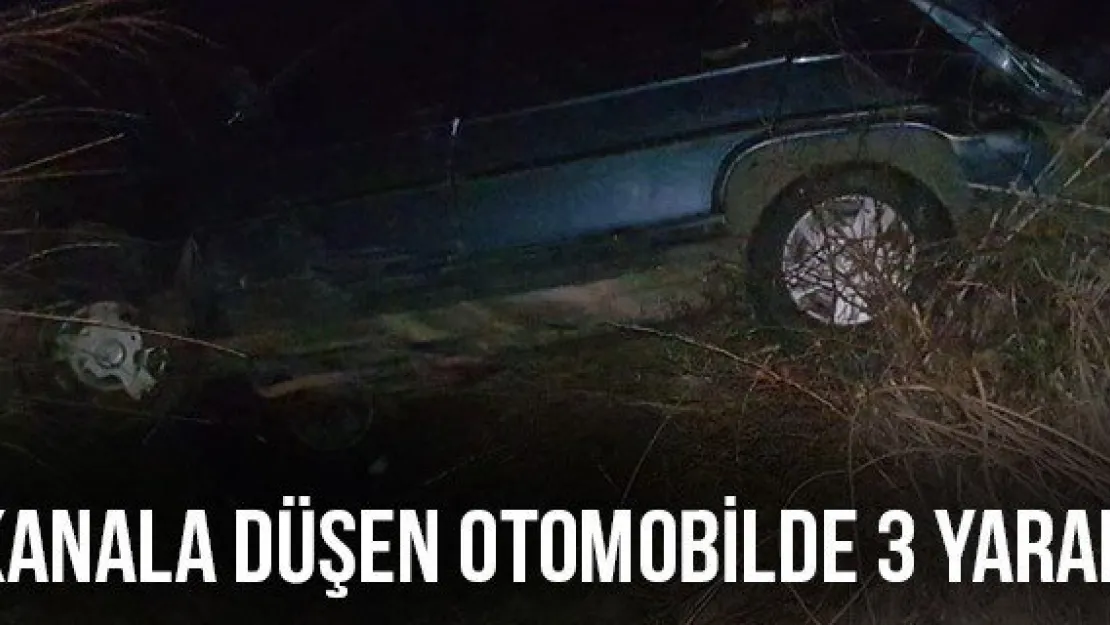 Kanala düşen otomobilde 3 yaralı