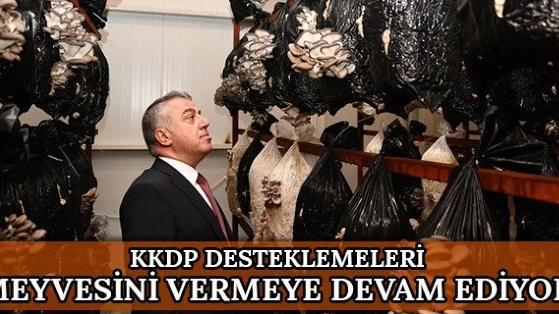 KKDP desteklemeleri meyvesini vermeye devam ediyor