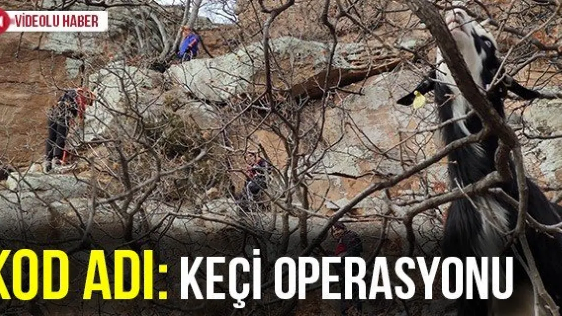 Kod Adı: Keçi Operasyonu