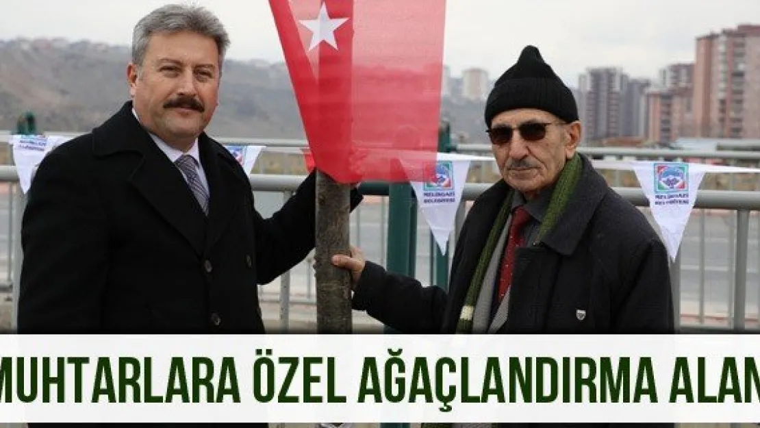 Muhtarlara özel ağaçlandırma alanı