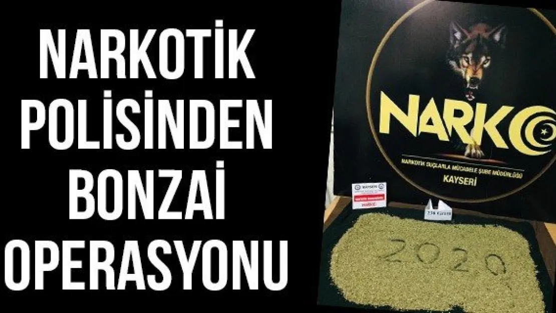 Narkotik polisinden bonzai operasyonu