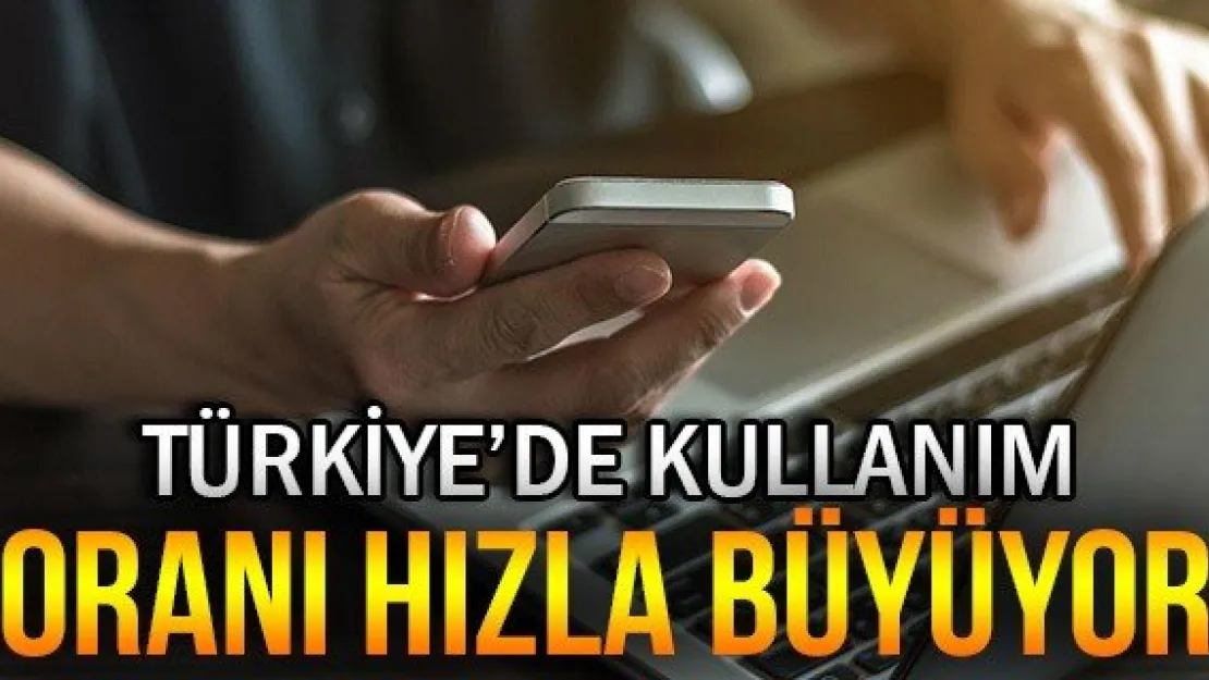 Türkiye'de kullanım oranı hızla büyüyor