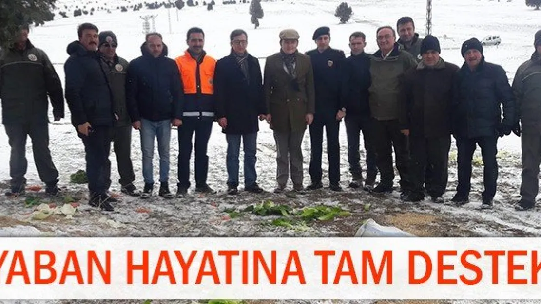 Yaban hayatına tam destek