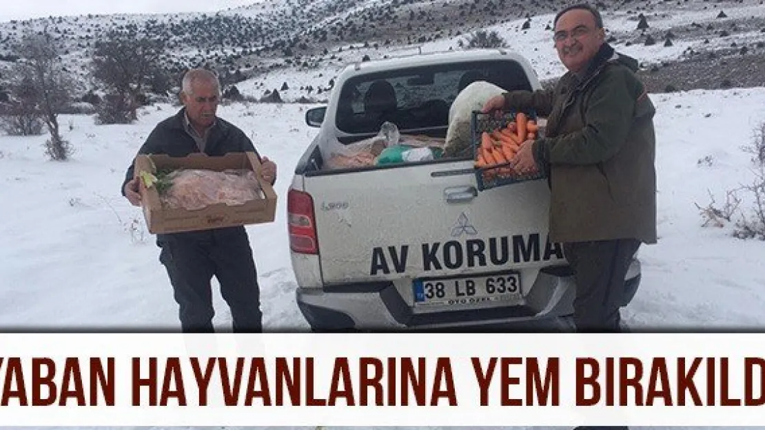 Yaban hayvanlarına yem bırakıldı