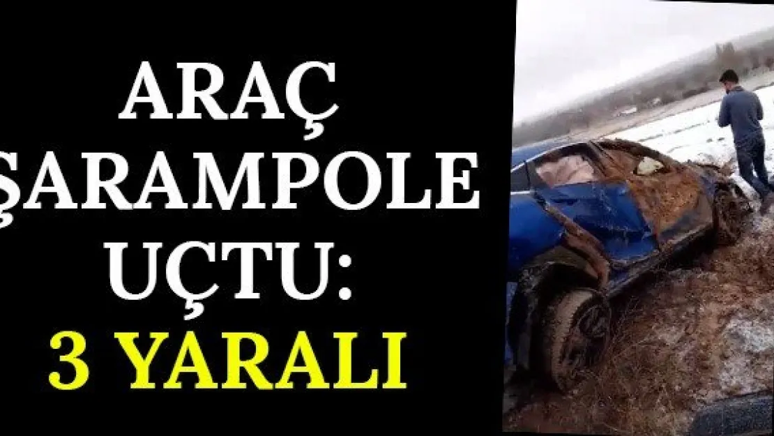 Araç Şarampole Uçtu: 3 Yaralı