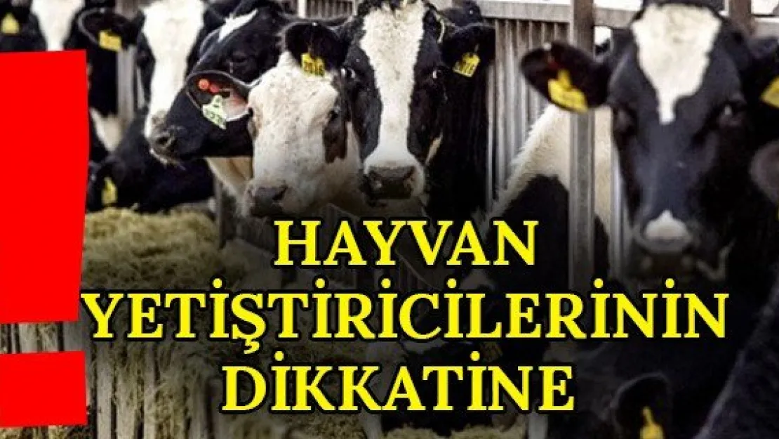 Hayvan Yetiştiricilerinin Dikkatine