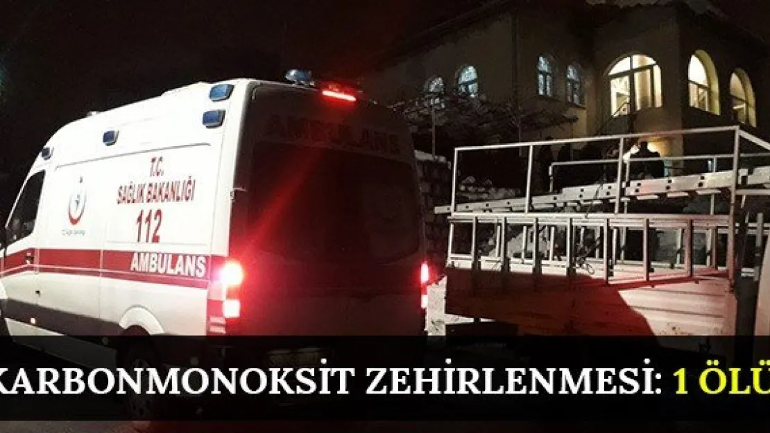 Karbonmonoksit Zehirlenmesi: 1 Ölü