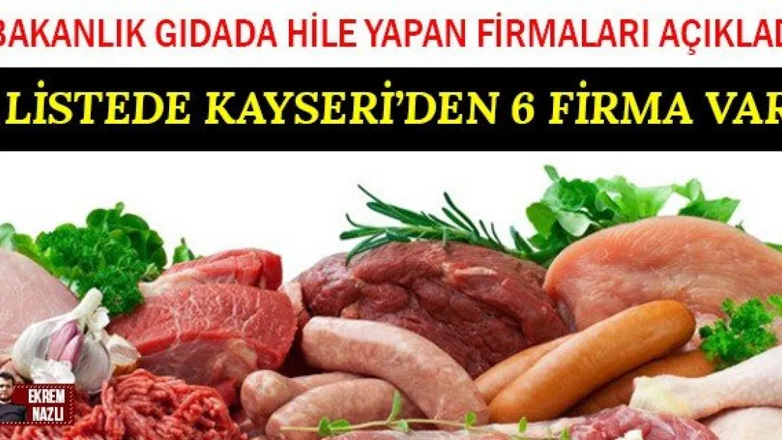 LİSTEDE KAYSERİ'DEN 6 FİRMA VAR