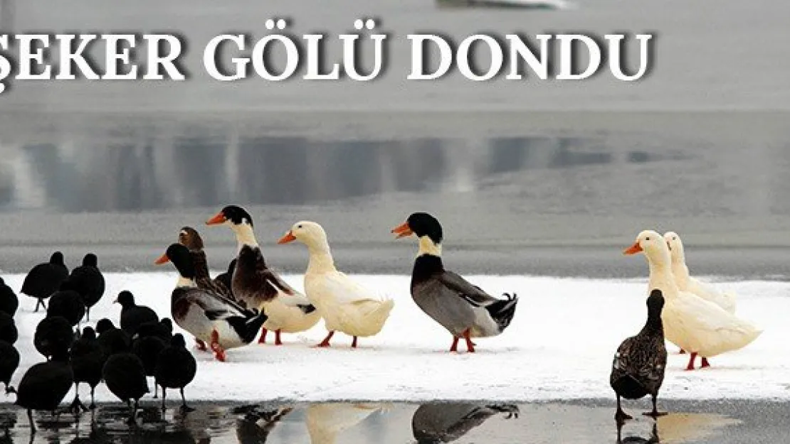 Şeker Gölü dondu