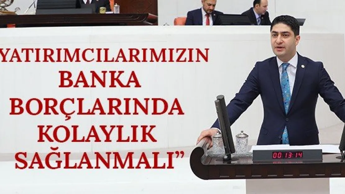 'Yatırımcılarımızın banka borçlarında kolaylık sağlanmalı'