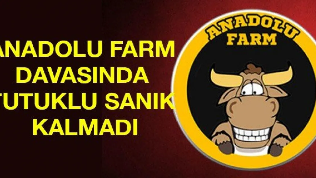 Anadolu Farm davasında tutuklu sanık kalmadı