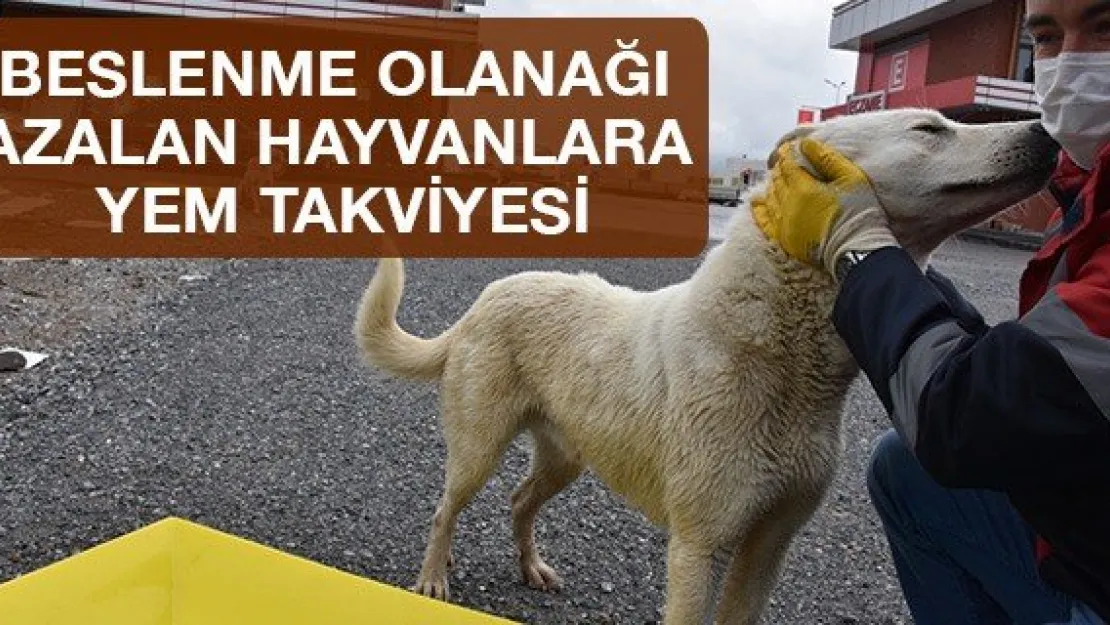 Beslenme olanağı azalan hayvanlara yem takviyesi