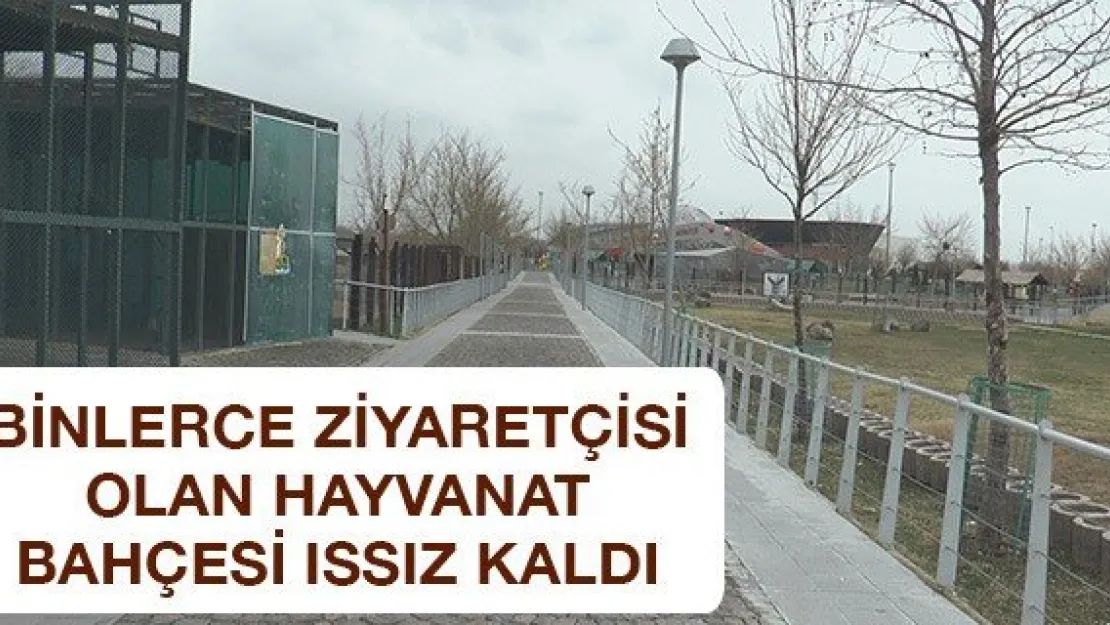 Binlerce ziyaretçisi olan hayvanat bahçesi ıssız kaldı