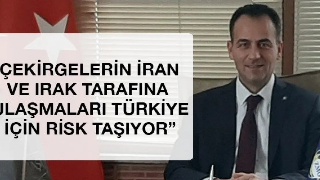 'Çekirgelerin İran ve Irak tarafına ulaşmaları Türkiye için risk taşıyor'