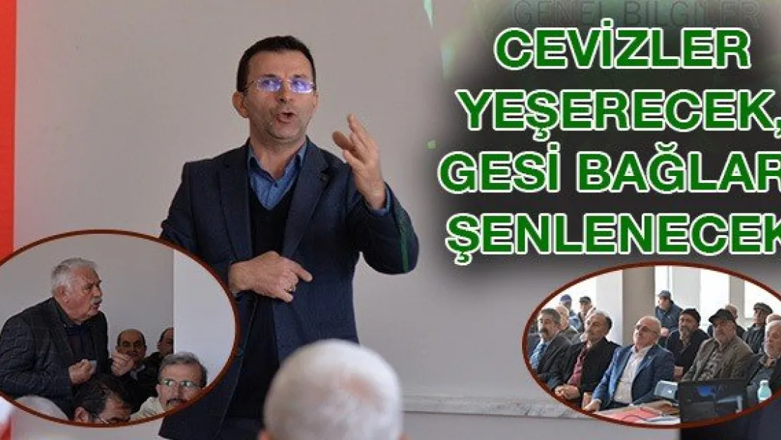 Cevizler Yeşerecek, Gesi Bağları Şenlenecek
