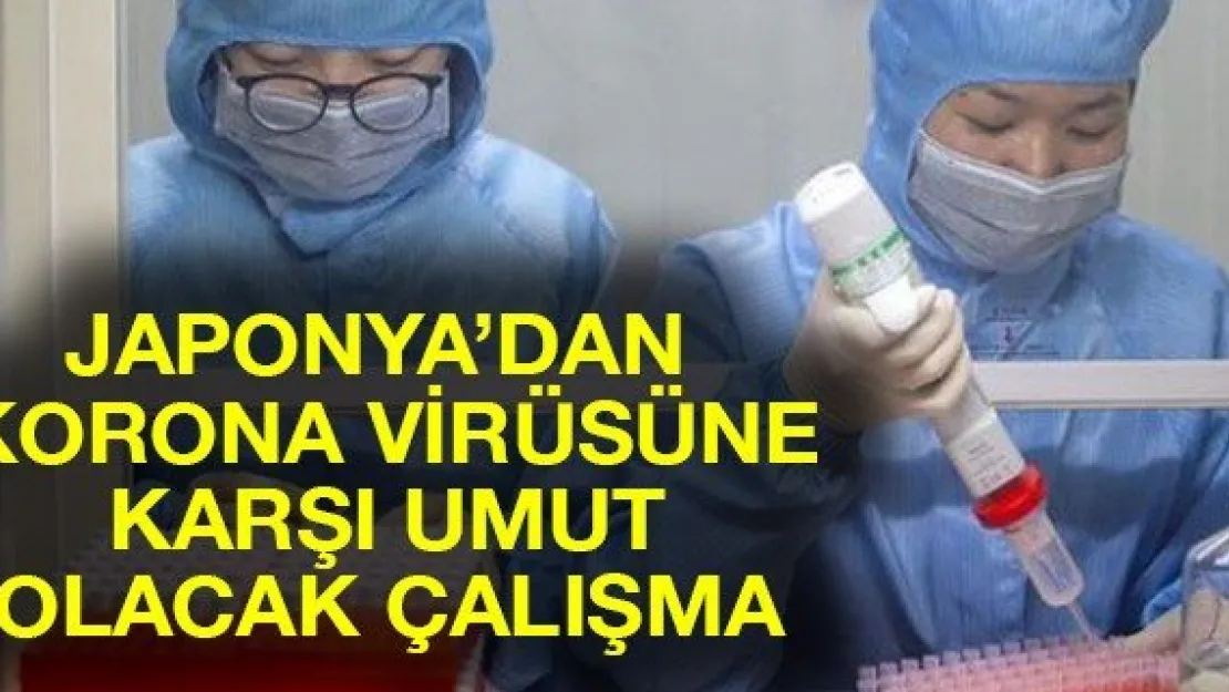 Japonya'dan korona virüsüne karşı umut olacak çalışma