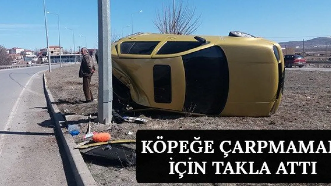 Köpeğe Çarpmamak İçin Takla Attı