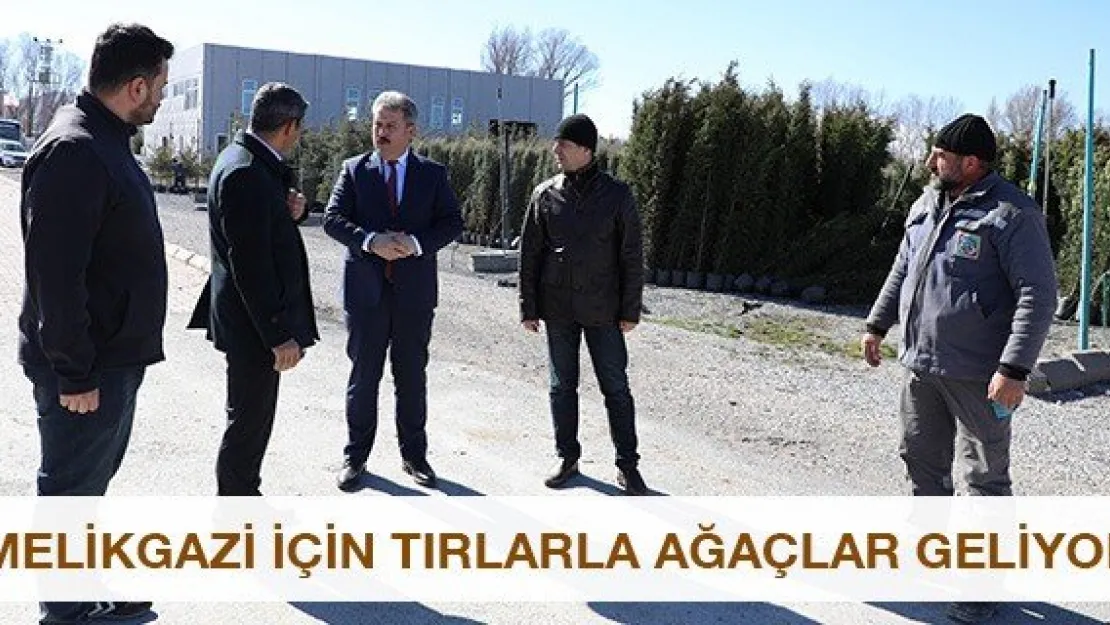Melikgazi için tırlarla ağaçlar geliyor