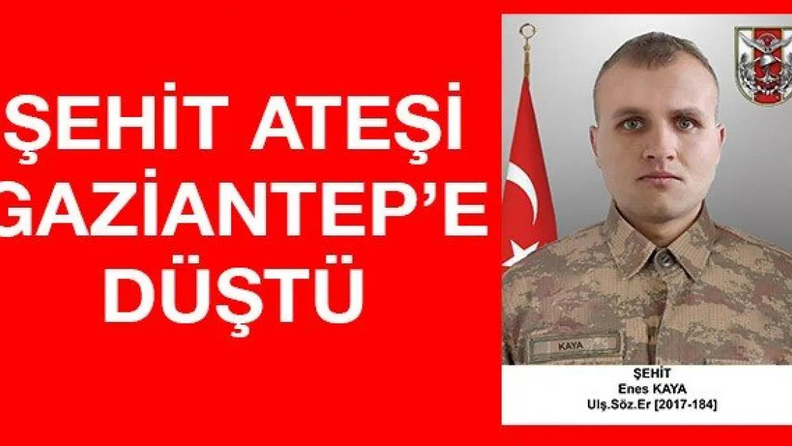 Şehit ateşi Gaziantep'e düştü