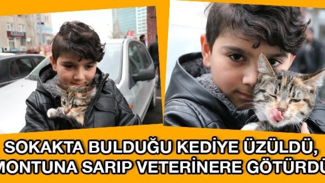 Sokakta bulduğu kediye üzüldü, montuna sarıp veterinere götürdü