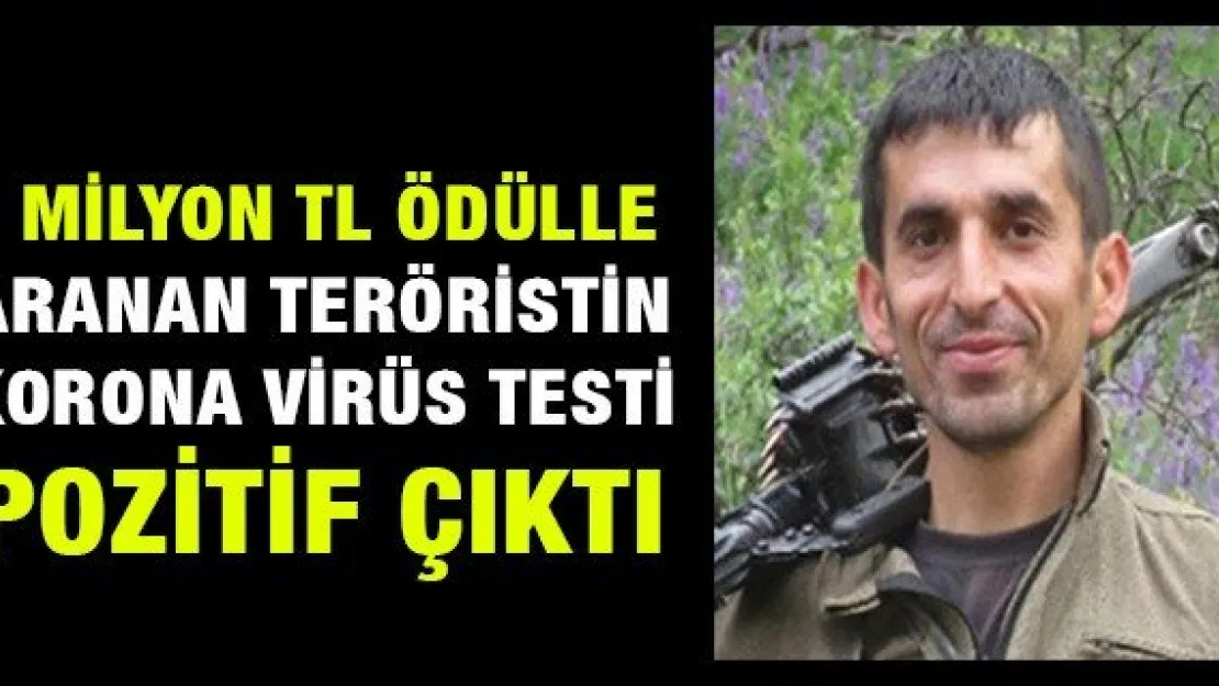 1 milyon TL ödülle aranan teröristin korona virüs testi pozitif çıktı