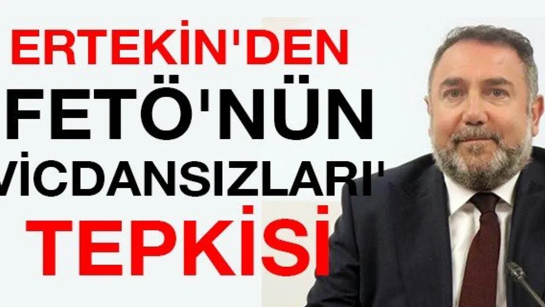 Alpaslan Baki Ertekin'den 'FETÖ'nün vicdansızları' tepkisi