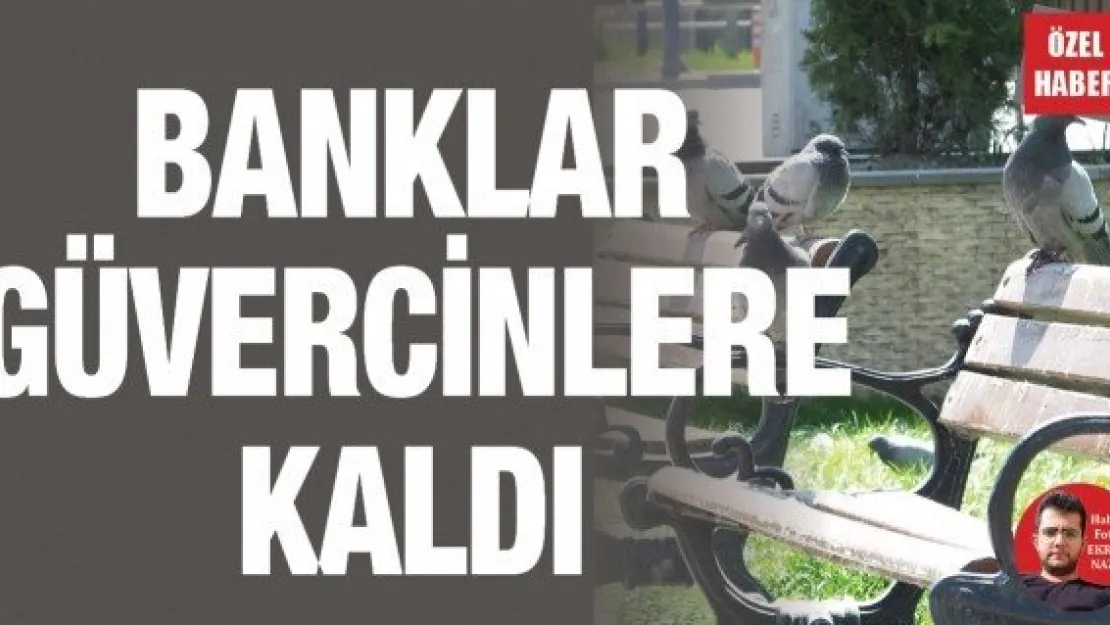 Banklar güvercinlere kaldı