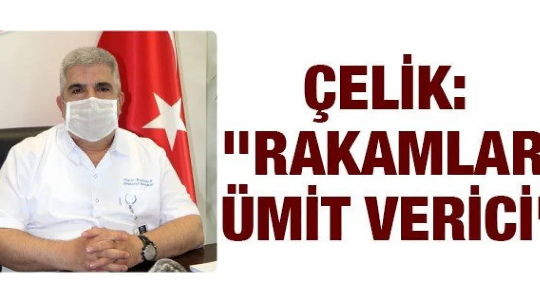 Çelik: &quotRakamlar ümit verici"