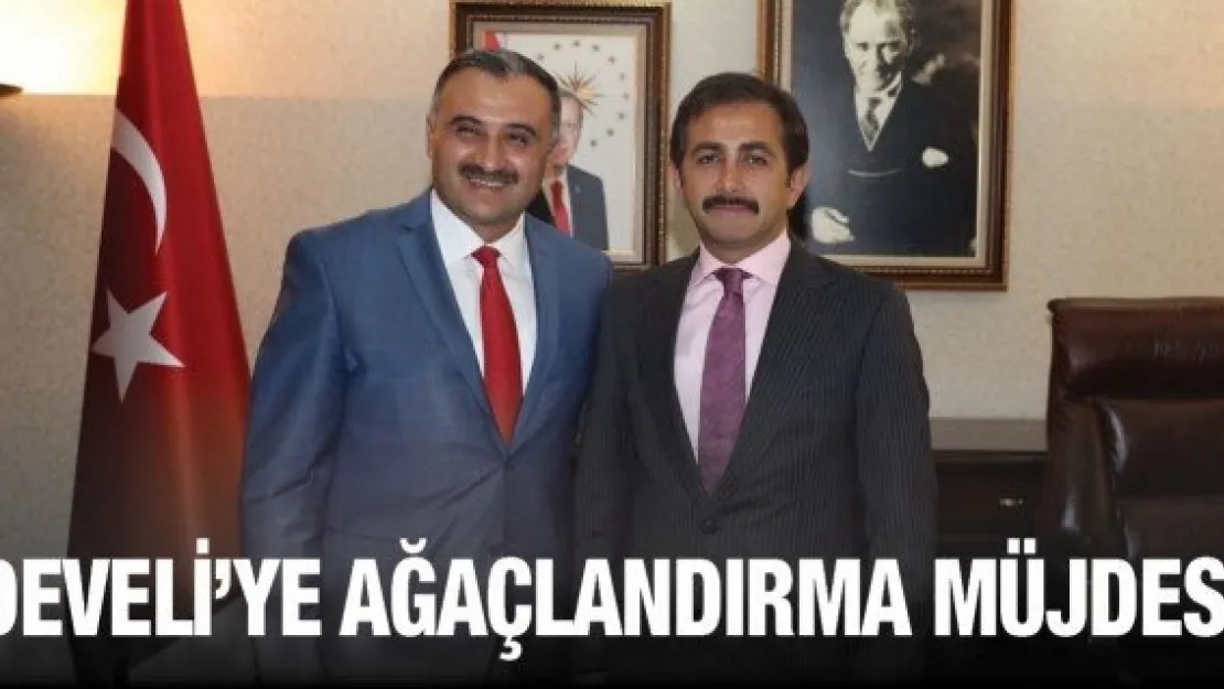 Develi'ye ağaçlandırma müjdesi