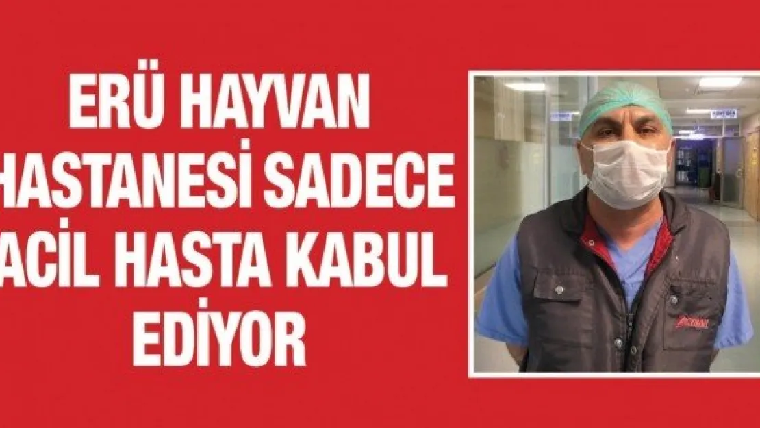 ERÜ Hayvan Hastanesi sadece acil hasta kabul ediyor