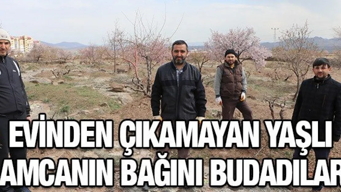 Evinden çıkamayan yaşlı amcanın bağını budadılar