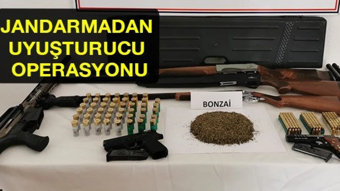 Jandarmadan uyuşturucu operasyonu