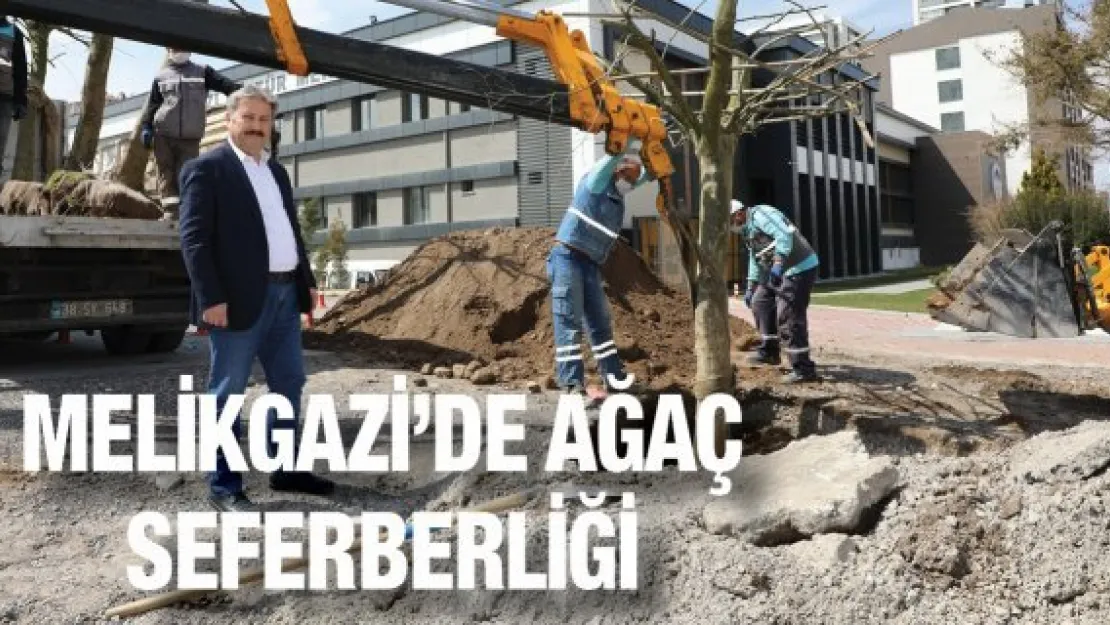 Melikgazi'de ağaç seferberliği