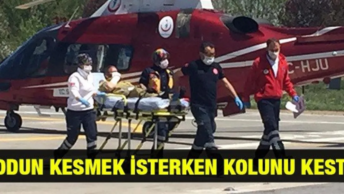 Odun kesmek isterken kolunu kesti