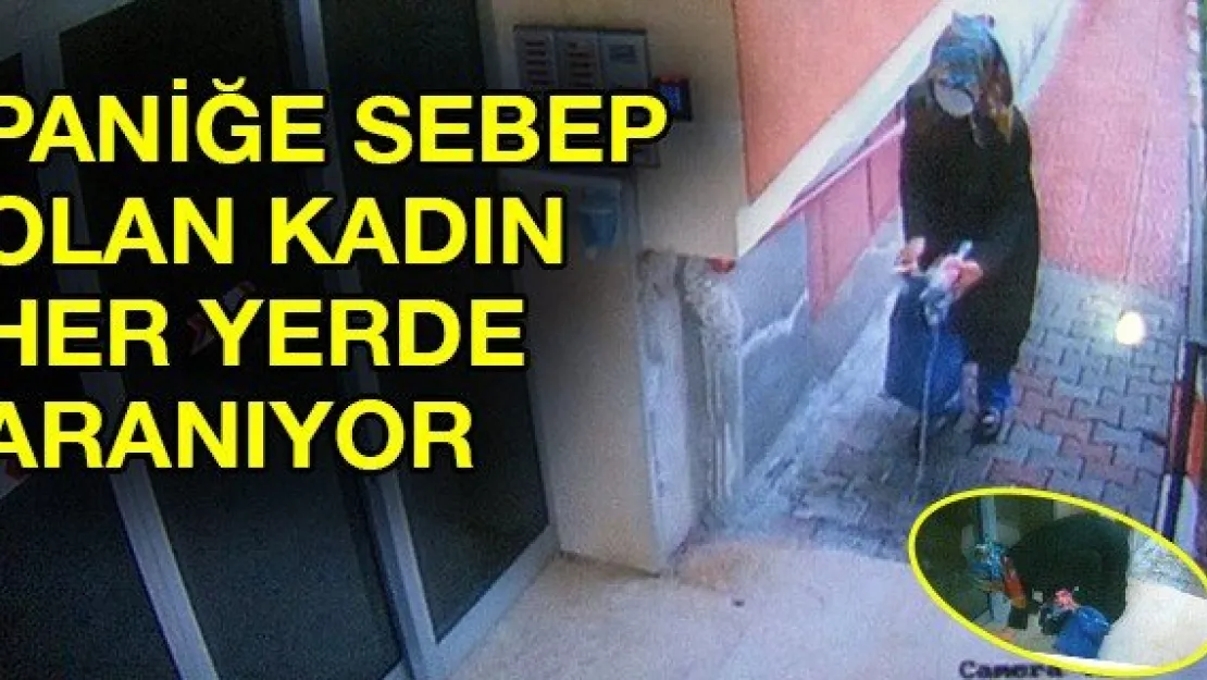 Paniğe sebep olan kadın her yerde aranıyor
