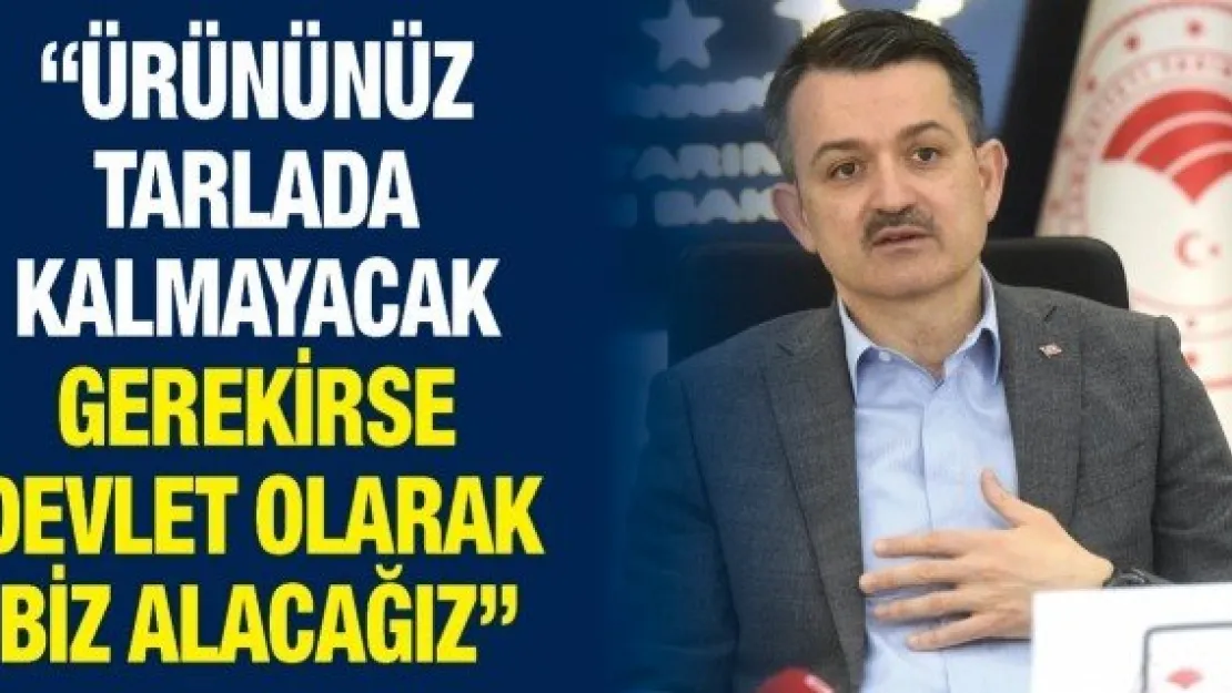 'Ürününüz tarlada kalmayacak gerekirse devlet olarak biz alacağız'