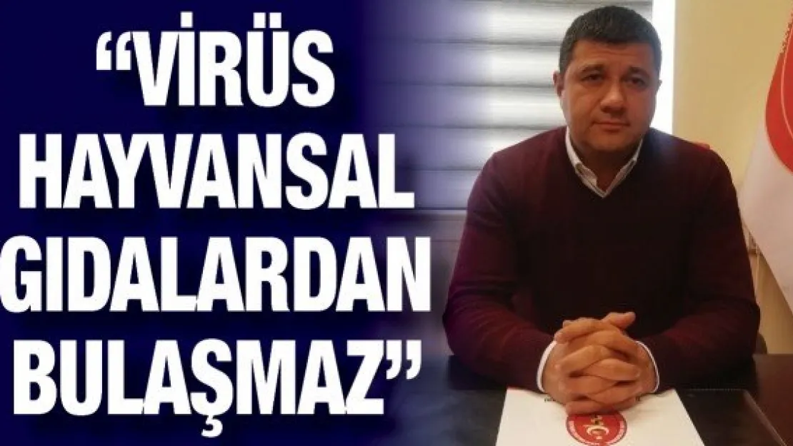 'Virüs hayvansal gıdalardan bulaşmaz'