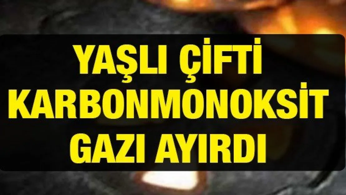 YAŞLI ÇİFTİ KARBONMONOKSİT GAZI AYIRDI