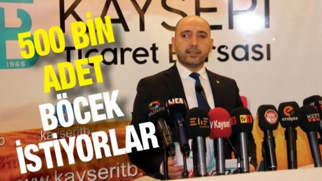 500 bin adet böcek istiyorlar