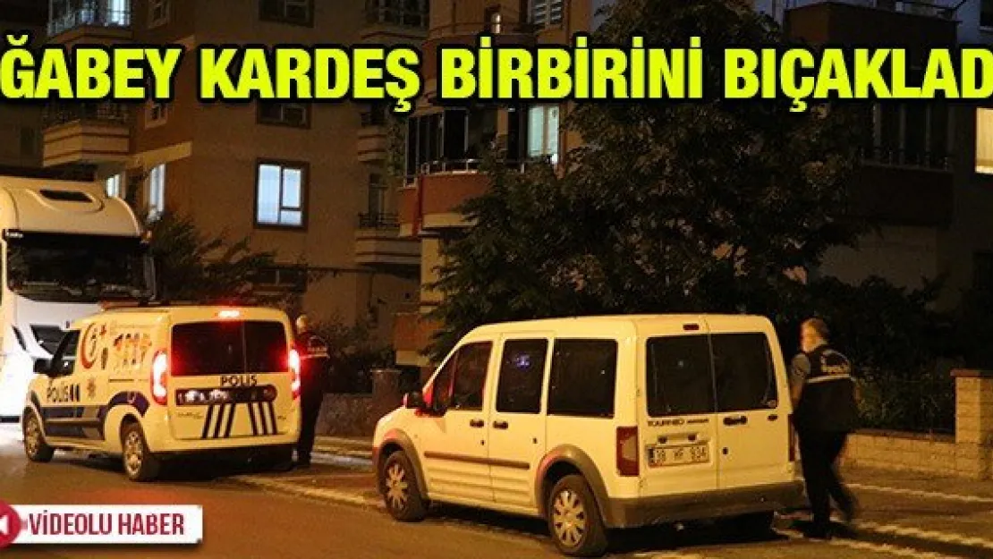 Ağabey kardeş birbirini bıçakladı