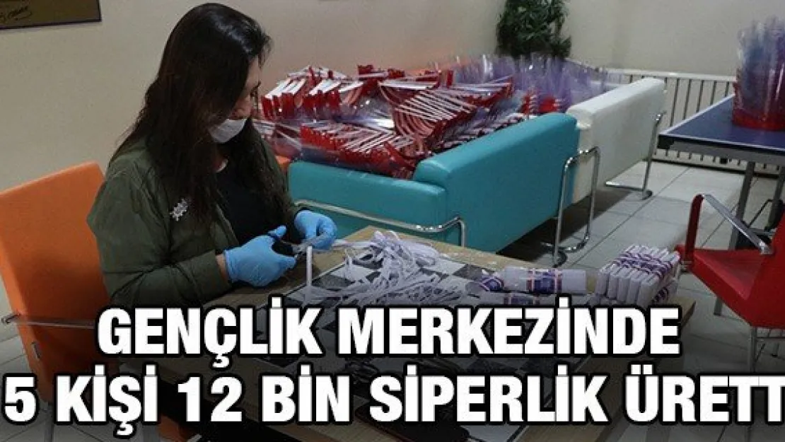 Gençlik Merkezinde 15 kişi 12 bin siperlik üretti